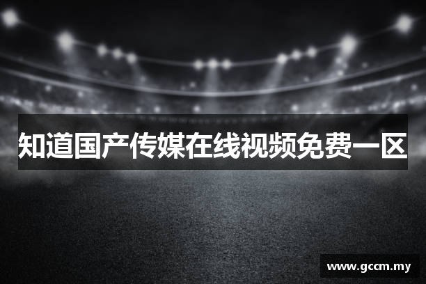知道国产传媒在线视频免费一区